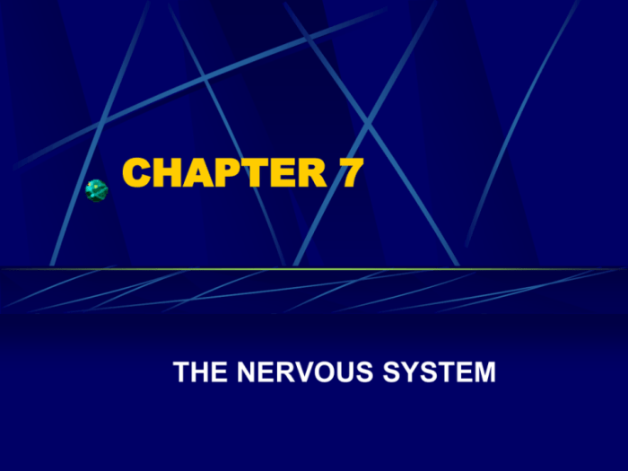 Chapter 22 the nervous system