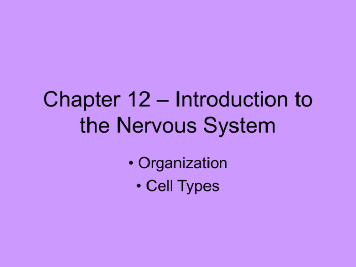 Chapter 22 the nervous system