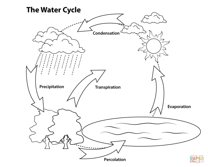 Hydrologic cycle worksheet answer key