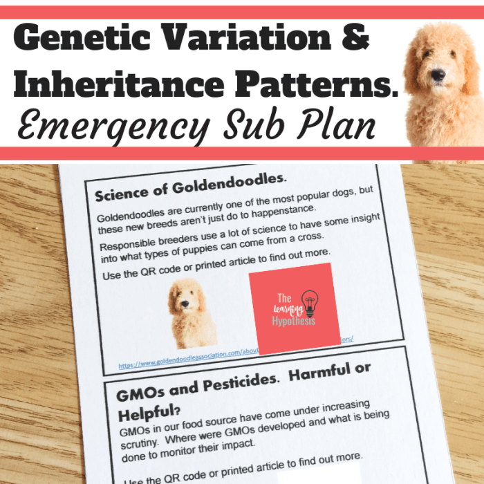 Genetics and heredity escape room answer key