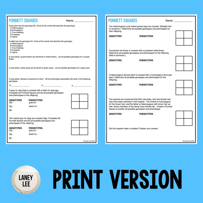 Punnett square worksheet and answers