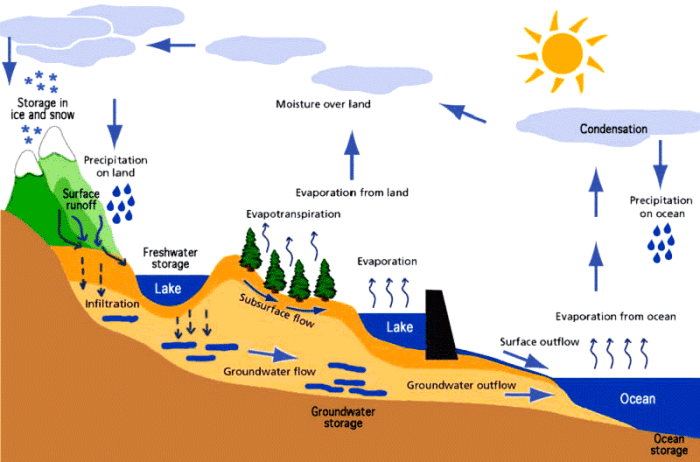 Hydrologic cycle worksheet answer key