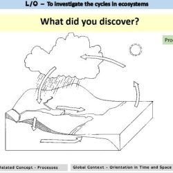 Hydrologic cycle worksheet answer key