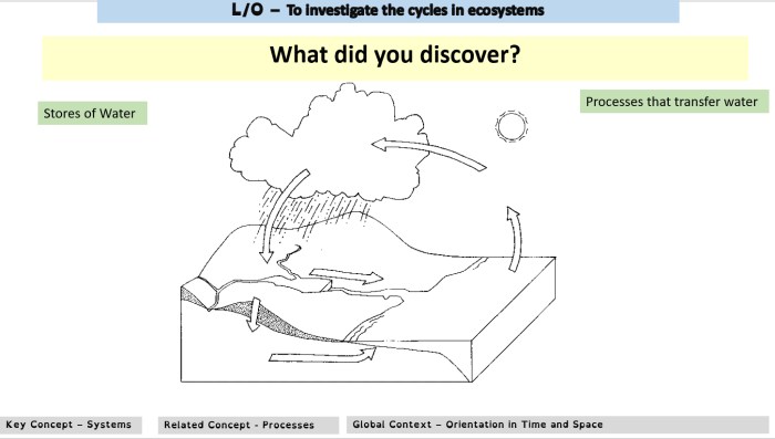 Hydrologic cycle worksheet answer key