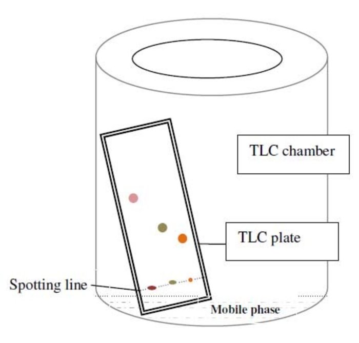 Thin layer chromatography exam questions