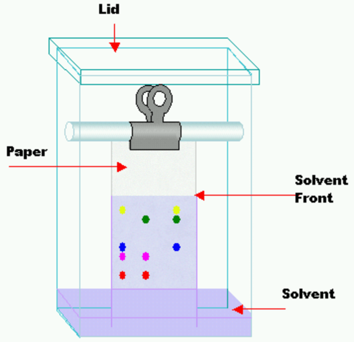 Chromatography layer thin experiment rf compounds question calculate rest tlc questions plate acetone show