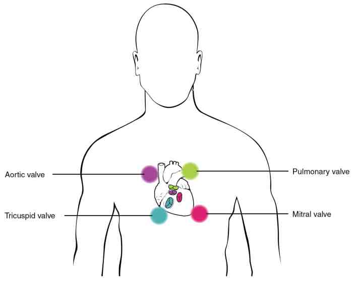 A nurse is preparing to auscultate a client's heart