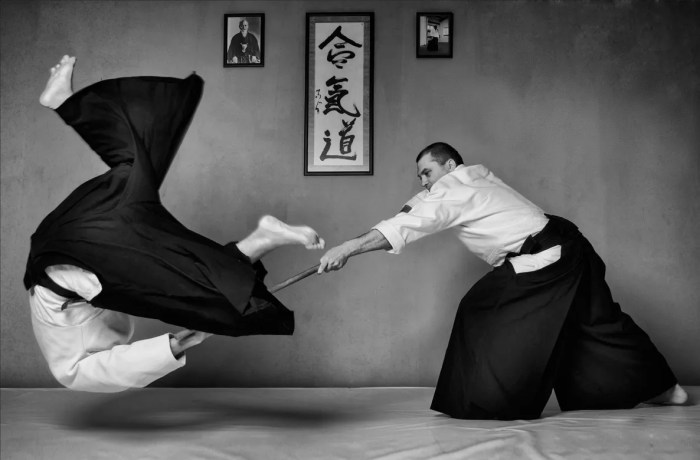 Martial art that means way of adapting the spirit