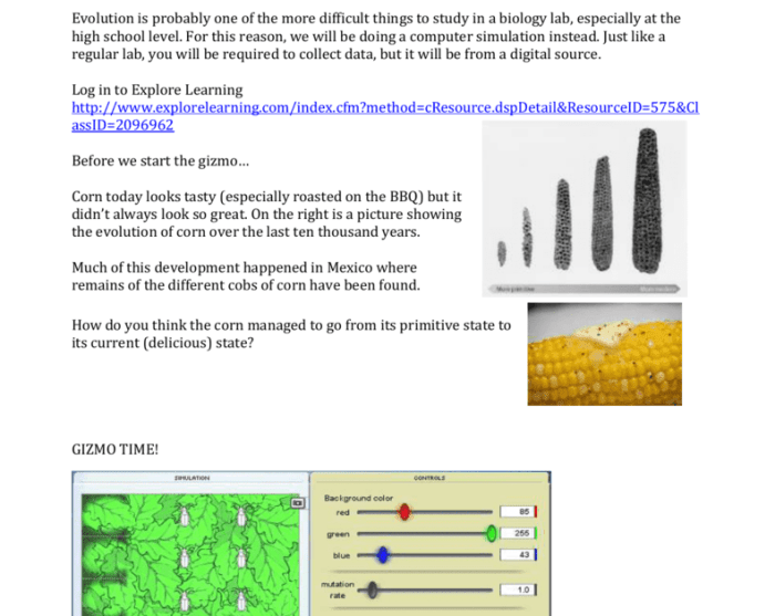 Gizmo evolution natural and artificial selection answer key