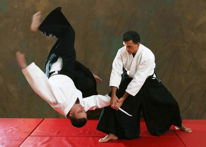 Aikido wallpaper wallpapers high desktop res